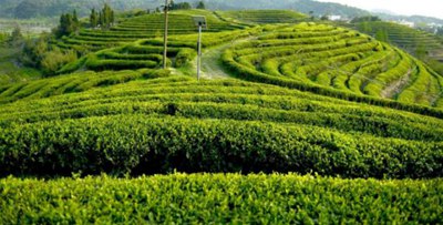 “互联网+”生态农业的发展障碍与对策,什么是r游戏和k游戏？农业生产中的生态战略理论...