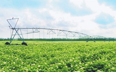 农村经济管理信息化建设的策略