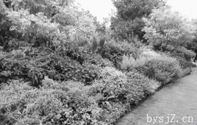 花境在园林景观设计中的应用研究,如何做好园林花境景观设计