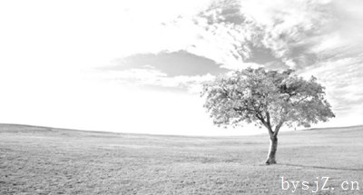 乡村环境污染的原因与法律防治