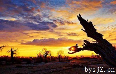 摄影作品著作权保护存在的问题与加强建议,保护摄影作品的版权有几个方面。