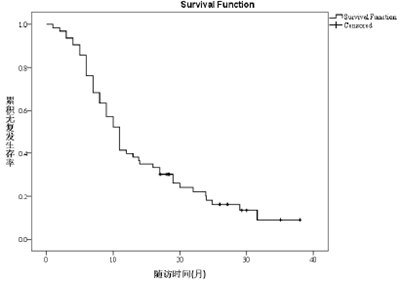 图3.1 胰头癌患者术后无复发生存曲线
