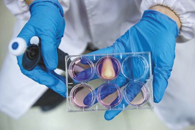 浅析药用植物开发和保护中生物技术的应用前景,药用植物学和药用植物化学有什么区别