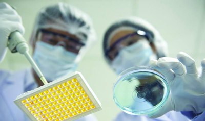 浅析现代生物技术可能带来的生物安全问题, 研究性学习:转基因生物与生物安全  请具体点！