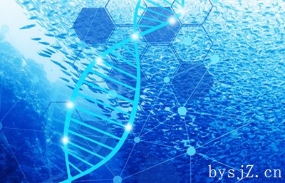 高中生物教学论文配图