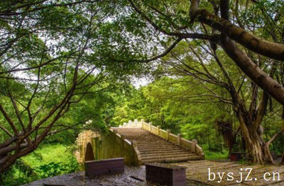 环境法学论文配图