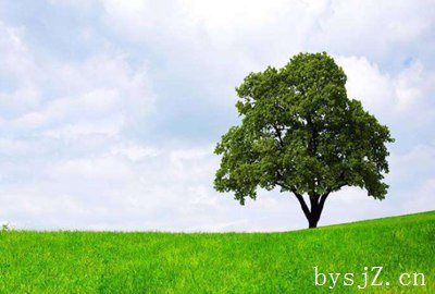 环境法学论文配图