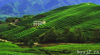 浅谈低碳经济下农业经济的发展之路,材料1:农业经济的发展依赖于政策、科学和技术...