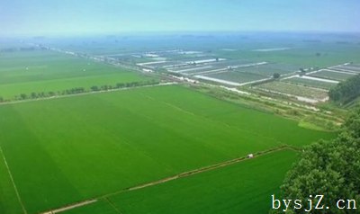 农业经济管理对农村经济发展的作用分析,农村经济管理中的村干部与农业经济中的农村社会发展...