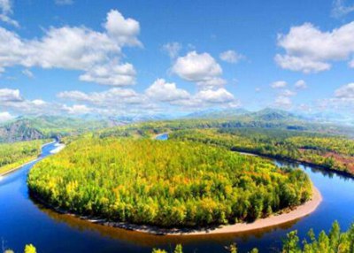 传统林业向现代林业过渡中的创新与发展,现代林业技术