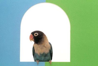 《实践论》《矛盾论》联结的现实问题探讨,《实践论》和《矛盾论》的主要内容是什么？