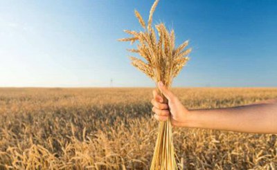 我国政府采用财政支持的方式促使农业的可持续发展研究,美国农业可持续发展的对策是什么？