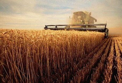 探讨农业机械化未来的发展方向,未来农村最赚钱的行业是什么