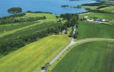 农业经济管理的问题及解决方法,如何加强农村经济管理