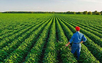 探索我国农业推广的理论研究和实践方法,为什么生态农业在生产实践中难以推广