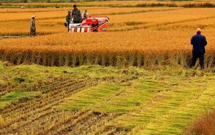 探讨信息化服务体系建设对促进我国农村经济发展具有重要作用,农村信息化的紧迫性