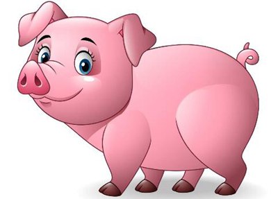 猪场猪病重点疾病的防控方法探究,养猪场有哪些防治猪疾病的措施？