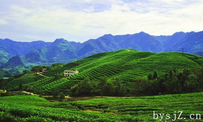 信息化在农业经济增长方面的作用及影响研究,什么是农业信息化