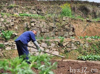 国外农业发展典型经验借鉴,美国在公共农业发展过程中有哪些经验和发展模式？...