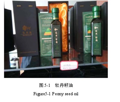 牡丹发展中的存在问题及建议,牡丹花促销是如何发展的？