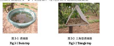 梨园区域概况及害虫材料与方法研究,如何防治梨园叶螨害虫？