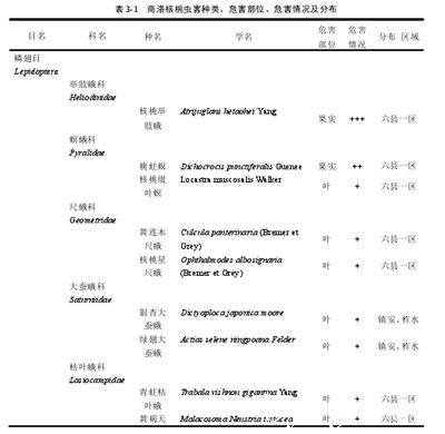 核桃病病虫种类、危害情况结果与分析,桃树害虫防治