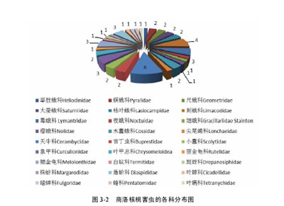 核桃病病虫种类、危害情况结果与分析,桃树害虫防治