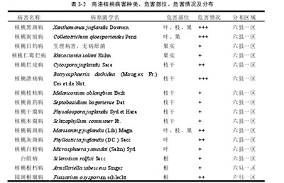 核桃病病虫种类、危害情况结果与分析,桃树害虫防治