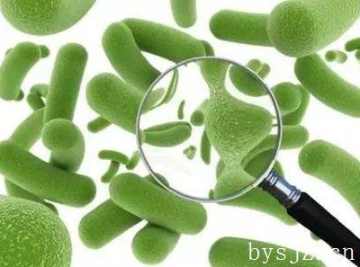 对灭活菌研究的前言,甲醛灭活细菌的温度是多少