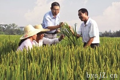 探究推进农业经济在新常态下的发展策略,中国经济发展的“新常态”对农业有什么影响