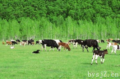 草地畜牧业的发展以及草原管理的问题及建议,什么是现代草原畜牧业？