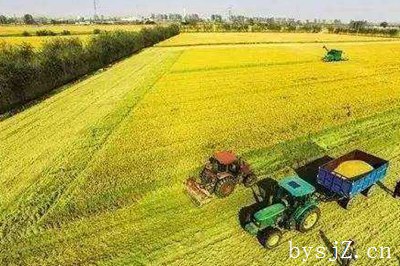 农业经济发展的基础保障管理和优化策略,土地改革政策对中国农村经济有什么影响？