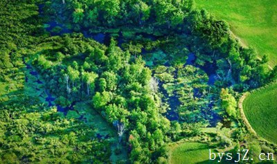 分析环境保护验收监测中存在的问题及解决方案,建设项目环境保护设施竣工验收监测技术要求的一般原则