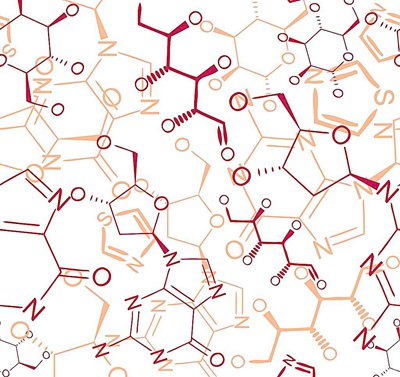 九年级化学实验