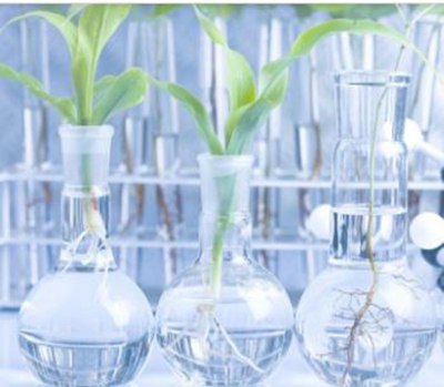 九年级化学实验