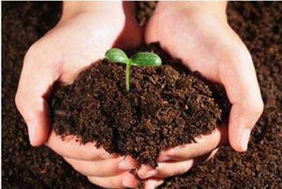 有机物污染的土壤治理方法研究,如何测定土壤中有机污染物的组合残留