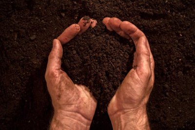 我国农村土壤污染及治理对策,农村地区的土壤污染有哪些防治措施