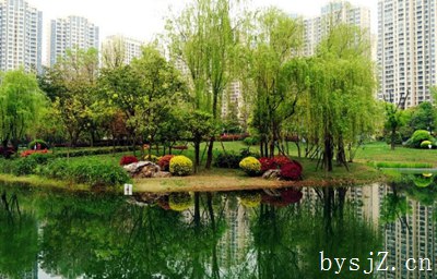 园林绿化植物种植与养护管理探究