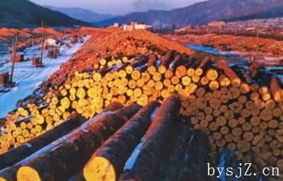 森林砍伐区木材生产管理问题与对策,有卖木材的程序吗？