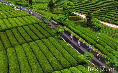 如何保障保护性耕作技术的推广