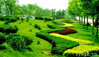 园林绿化施工中精细化管理的运用