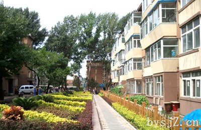 物业自治在老旧小区的应用探析,如何提高旧住宅区的物业管理水平？