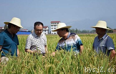 农业科研单位基层党组织发挥战斗堡垒作用的途径,水量问题也是中国农村供水面临的一个重要问题。水...
