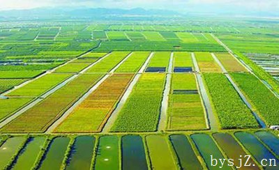 培育市场农业经济与发展农村经济的策略,发展创新农业如何培育农业要素市场