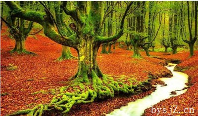 森林康养资源评价模型构建分析