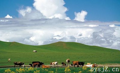 如何加强畜牧养殖专业合作社建设