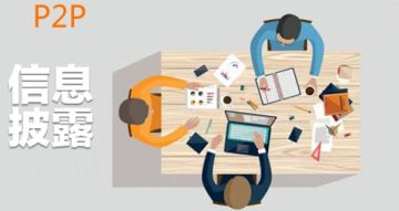 P2P网贷平台信息服务的作用及影响研究