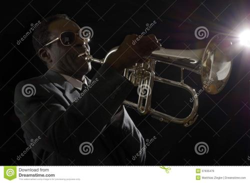 爵士乐与美国黑人流行音乐文化研究