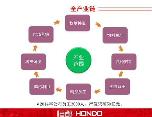 高档牛肉全产业链发展模式分析