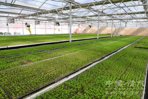 甘肃清水县农业生态建设工作开展情况,甘肃清水农业学校简介